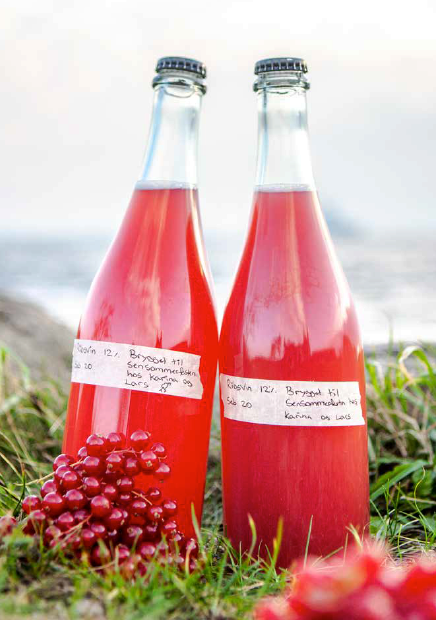 Cider og frugtvin (tanskankielinen kirja) – pienpanimotoimintaa ja reseptejä kotikäyttöön (André Spange Nabulsi)