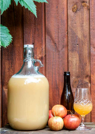 Cider og frugtvin (tanskankielinen kirja) – pienpanimotoimintaa ja reseptejä kotikäyttöön (André Spange Nabulsi)