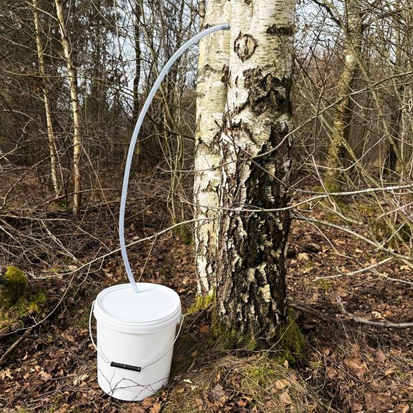 Koivunmahlan laskuvälineet / sarja koivunmahlan laskuun, 4 kpl 2,5 litran kanistereita